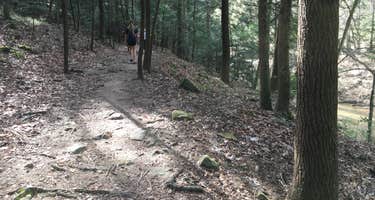 Sipsey Wilderness Backcountry Site (Trail 200 Site I)
