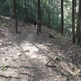 Review photo of Sipsey Wilderness Backcountry Site (Trail 200 Site I) by Asher K., June 30, 2020