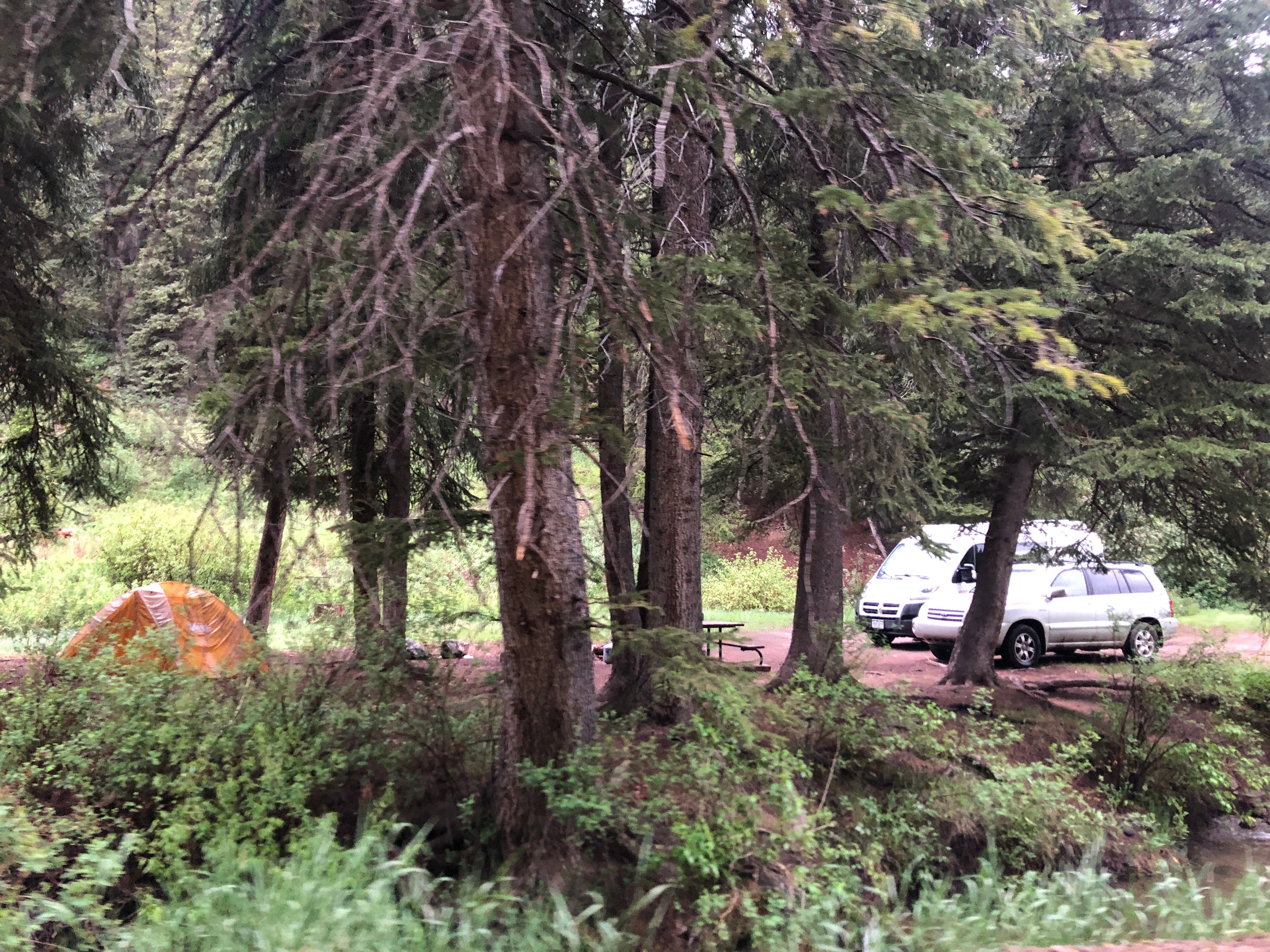 Camper submitted image from Rifle Mountain Park- Sawmill Gulch - 2