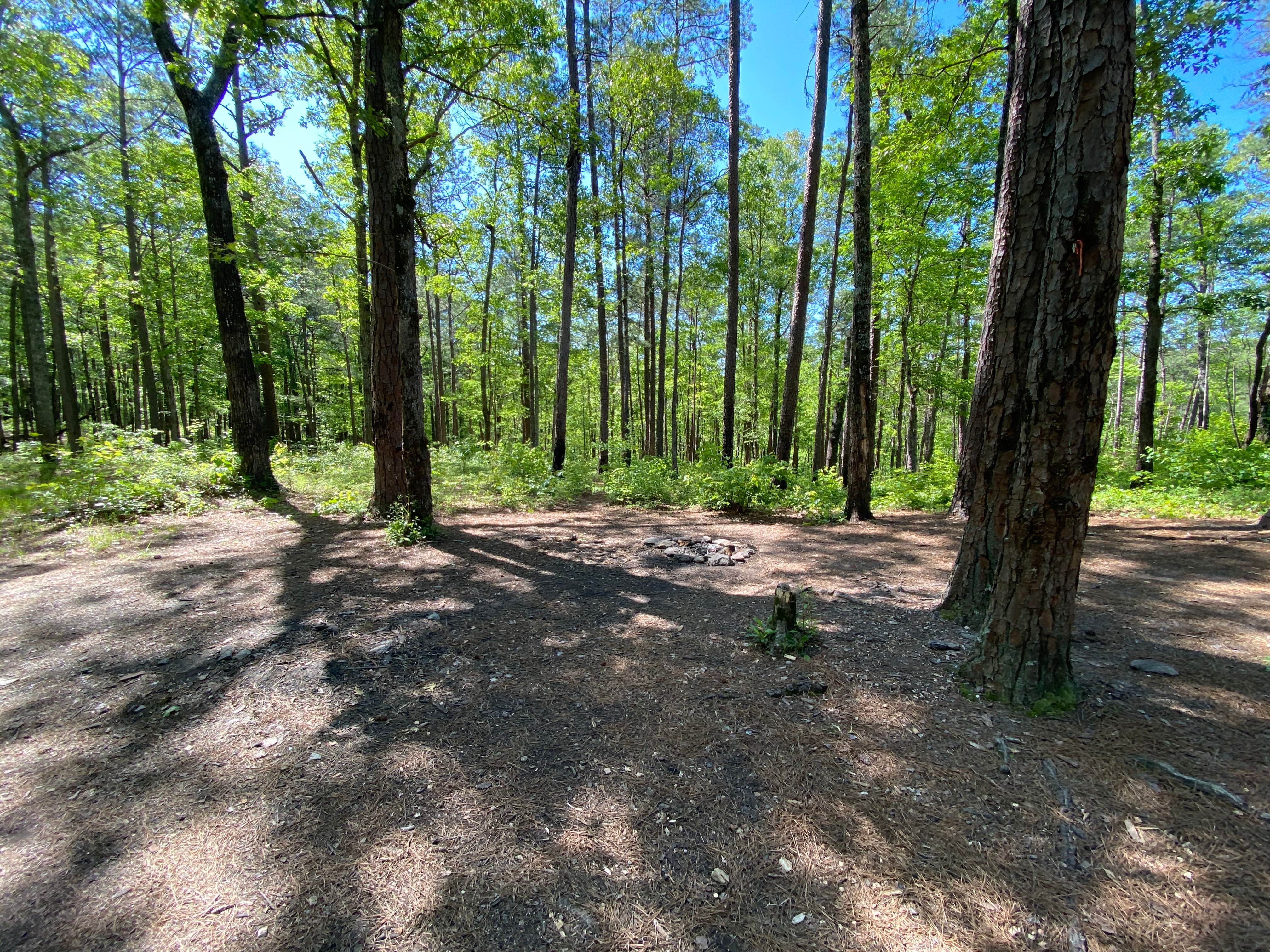Camper-submitted photo at Chinnabee Silent Trail Backcountry Site 3 near Columbiana, AL