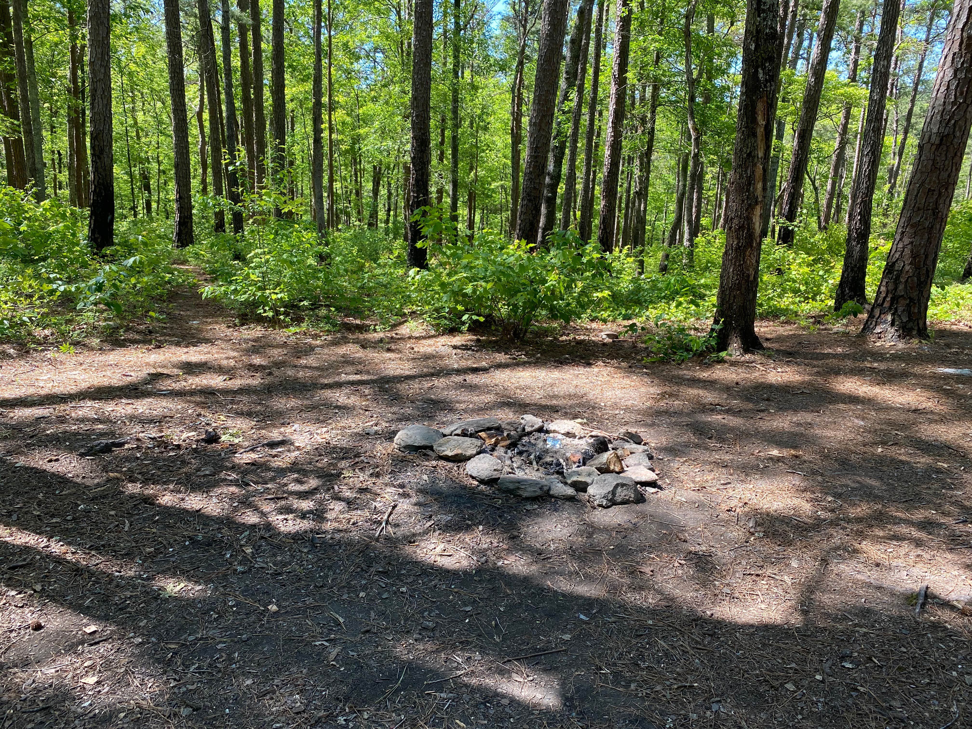 Camper-submitted photo at Chinnabee Silent Trail Backcountry Site 3 near Columbiana, AL
