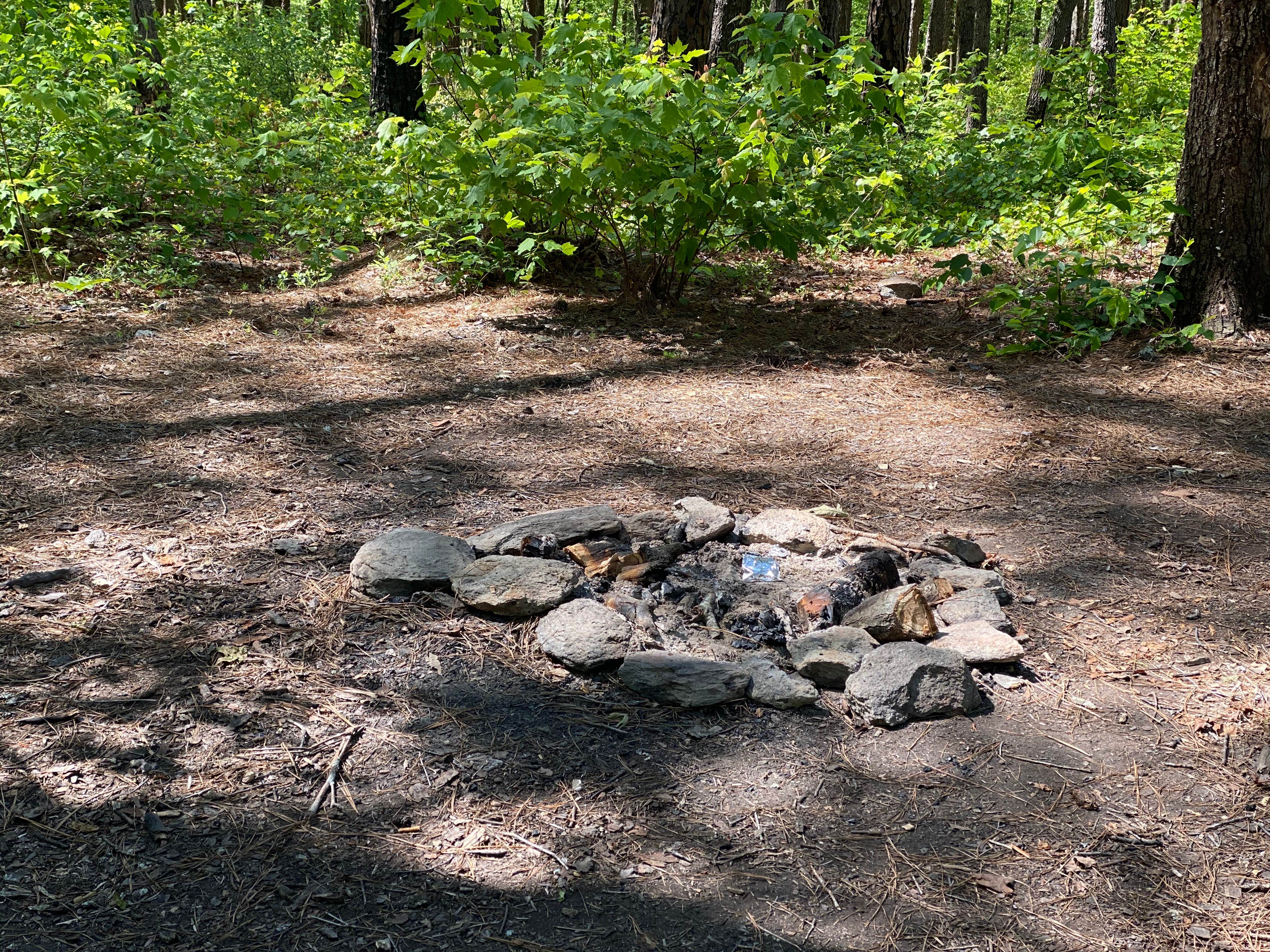 Camper-submitted photo at Chinnabee Silent Trail Backcountry Site 3 near Columbiana, AL