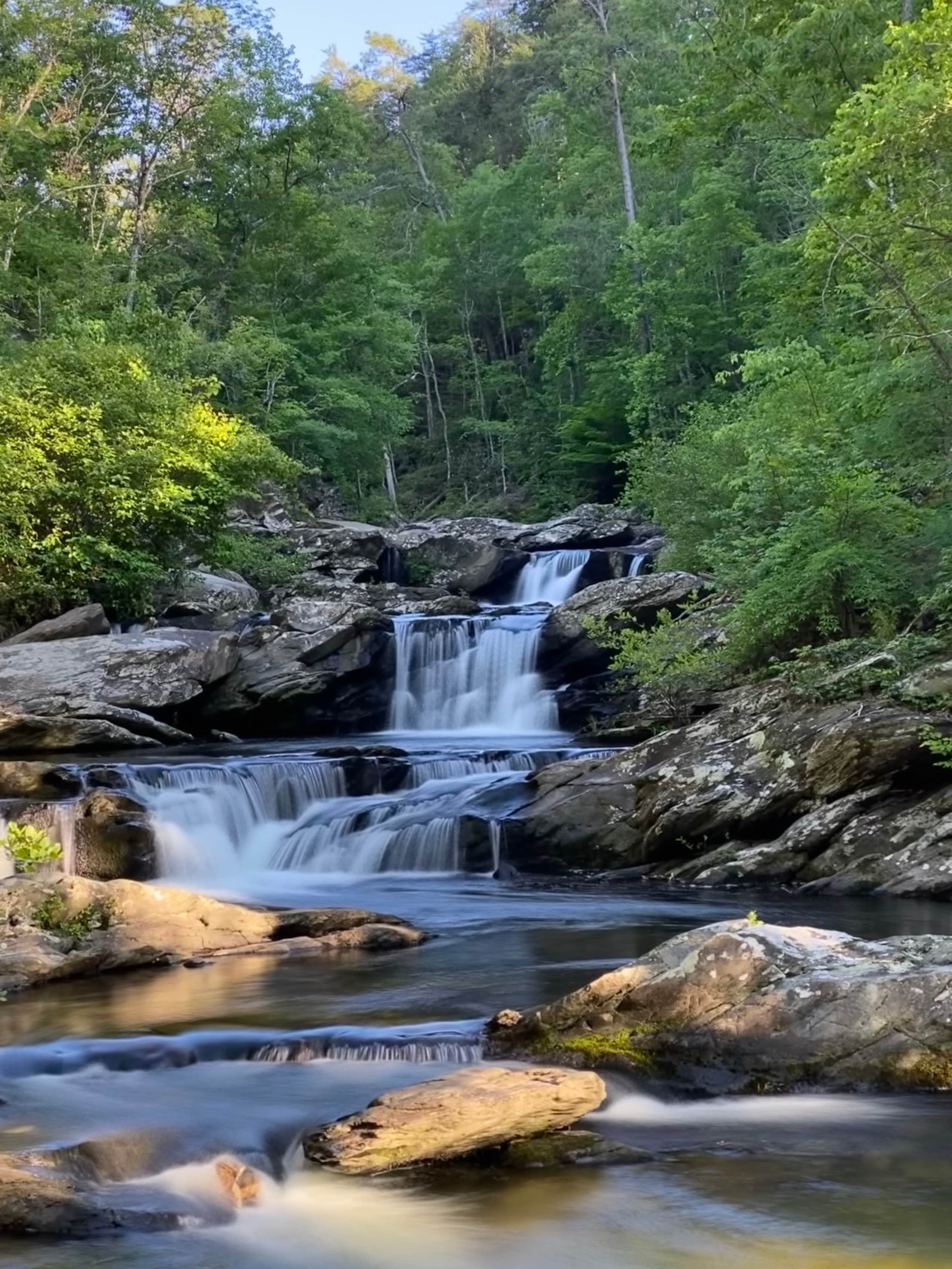 Camper-submitted photo at Chinnabee Silent Trail Backcountry Site 3 near Columbiana, AL