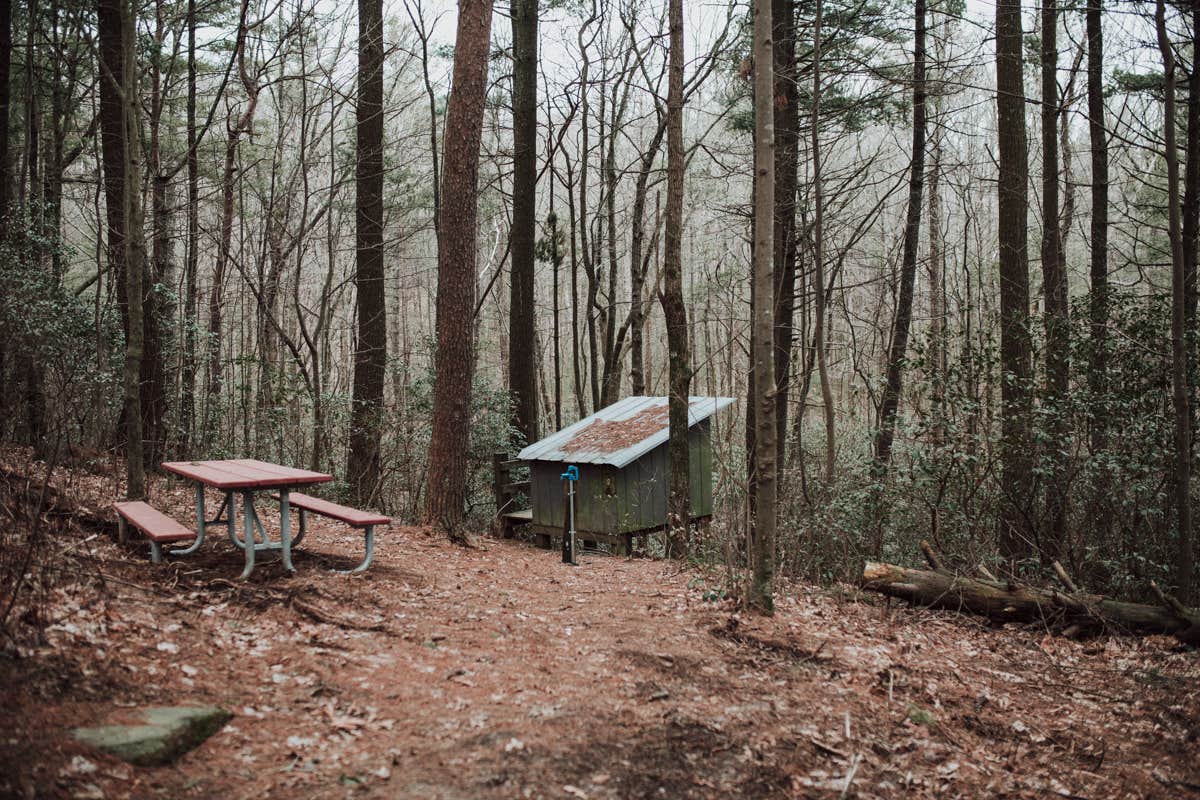 Stephanie J.'s photo of a cabin at Fort Mountain State Park Campground near Acworth, GA