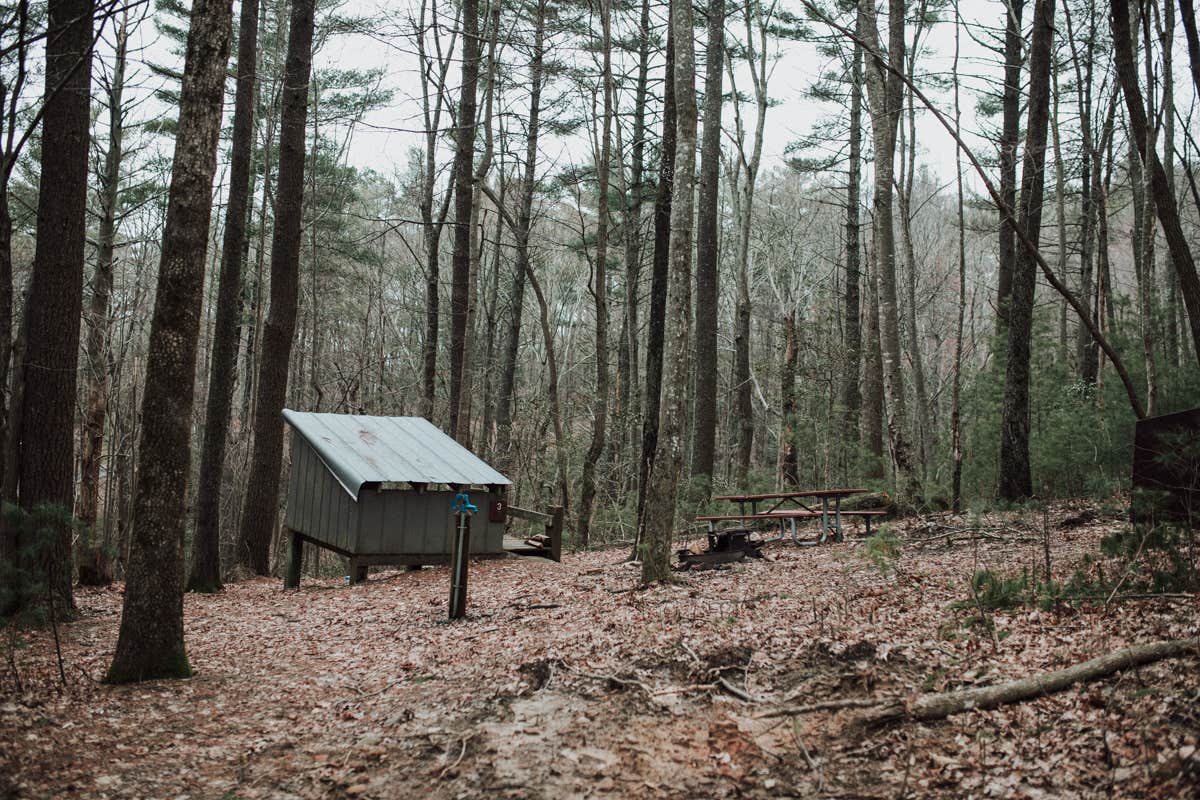 Stephanie J.'s photo of glamping accommodations at Fort Mountain State Park Campground near Cherry Log, GA