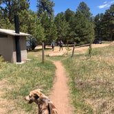 Review photo of Meadows Group Campground by Hayley K., June 30, 2020