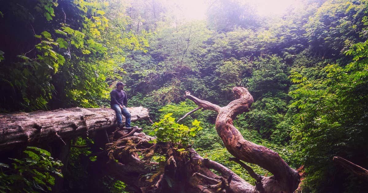 Gold Bluffs Beach Campground — Prairie Creek Redwoods State Park