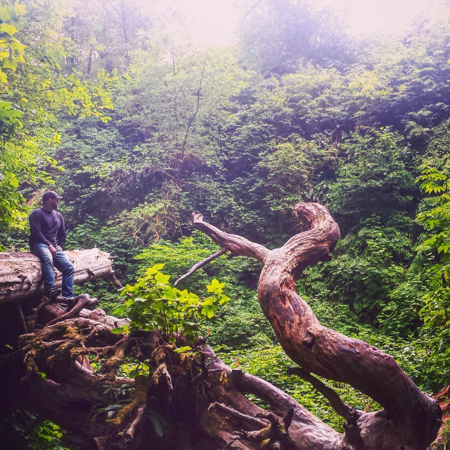 Gold Bluffs Beach Campground — Prairie Creek Redwoods State Park