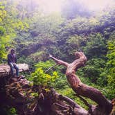 Review photo of Gold Bluffs Beach Campground — Prairie Creek Redwoods State Park by PATRICK S., July 2, 2016