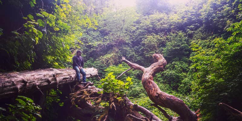 Camper submitted image from Gold Bluffs Beach Campground — Prairie Creek Redwoods State Park