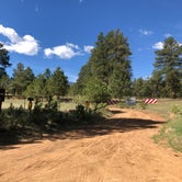 Review photo of Meadows Group Campground by Hayley K., June 30, 2020