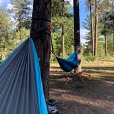 Review photo of Carr Lake Campground on Forest Road 9350 by Jeannie C., June 30, 2020