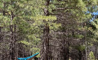 Jeannie C.'s photo at Fr 9350 Campground in Arizona