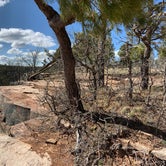 Review photo of Fr 9350 Campground by Jeannie C., June 30, 2020