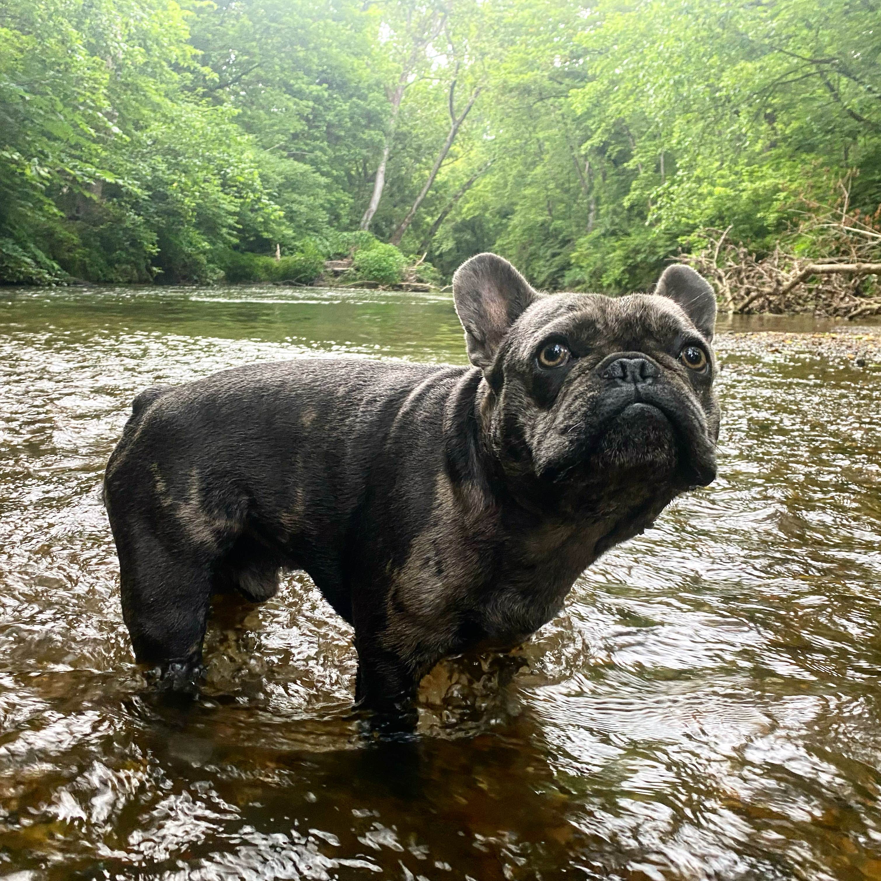 Camper-submitted photo at Lancaster County Mill Creek Camping Area near Harrisburg, PA