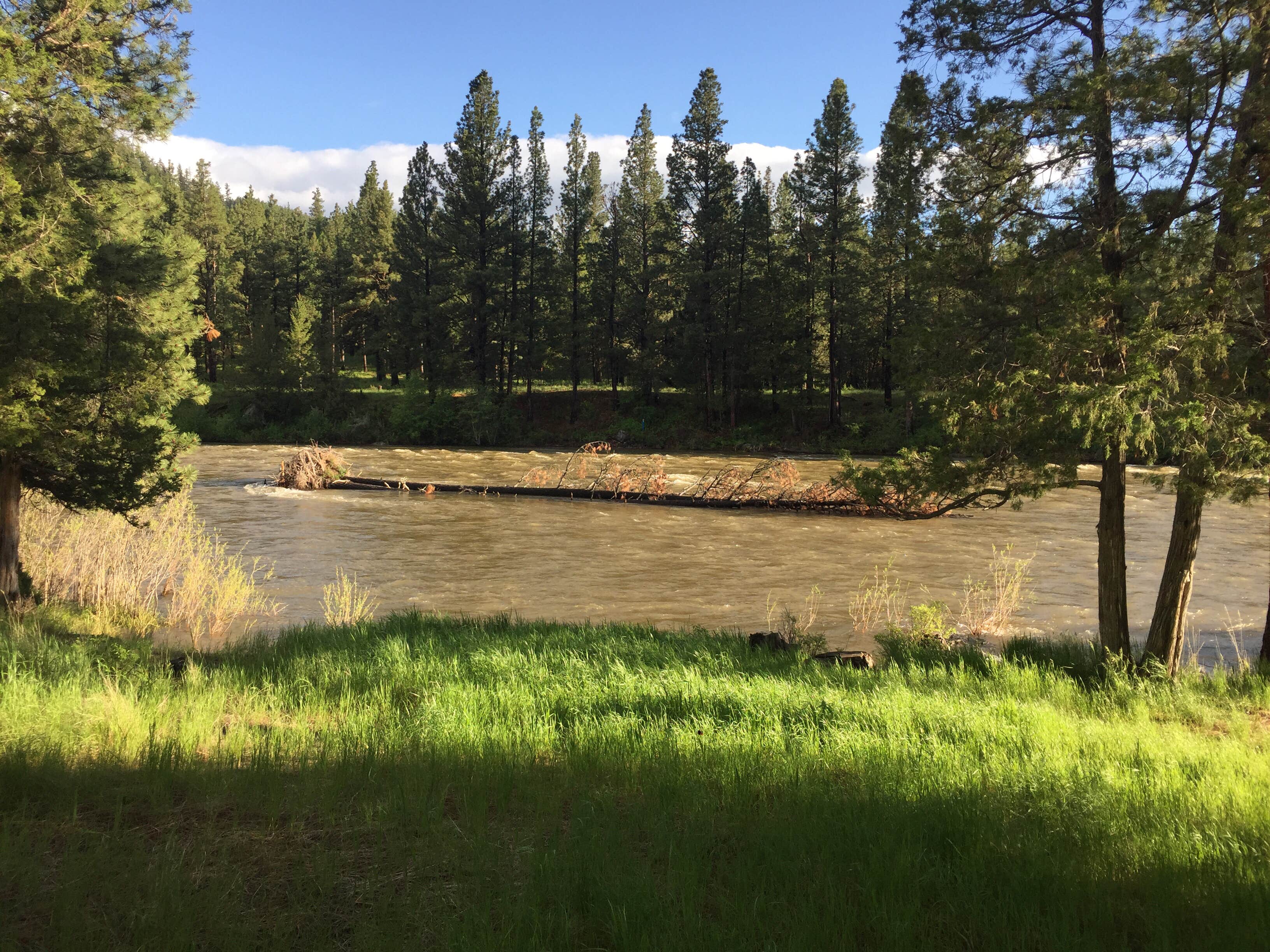 Camper-submitted photo at Russell Gates Memorial near Ovando, MT