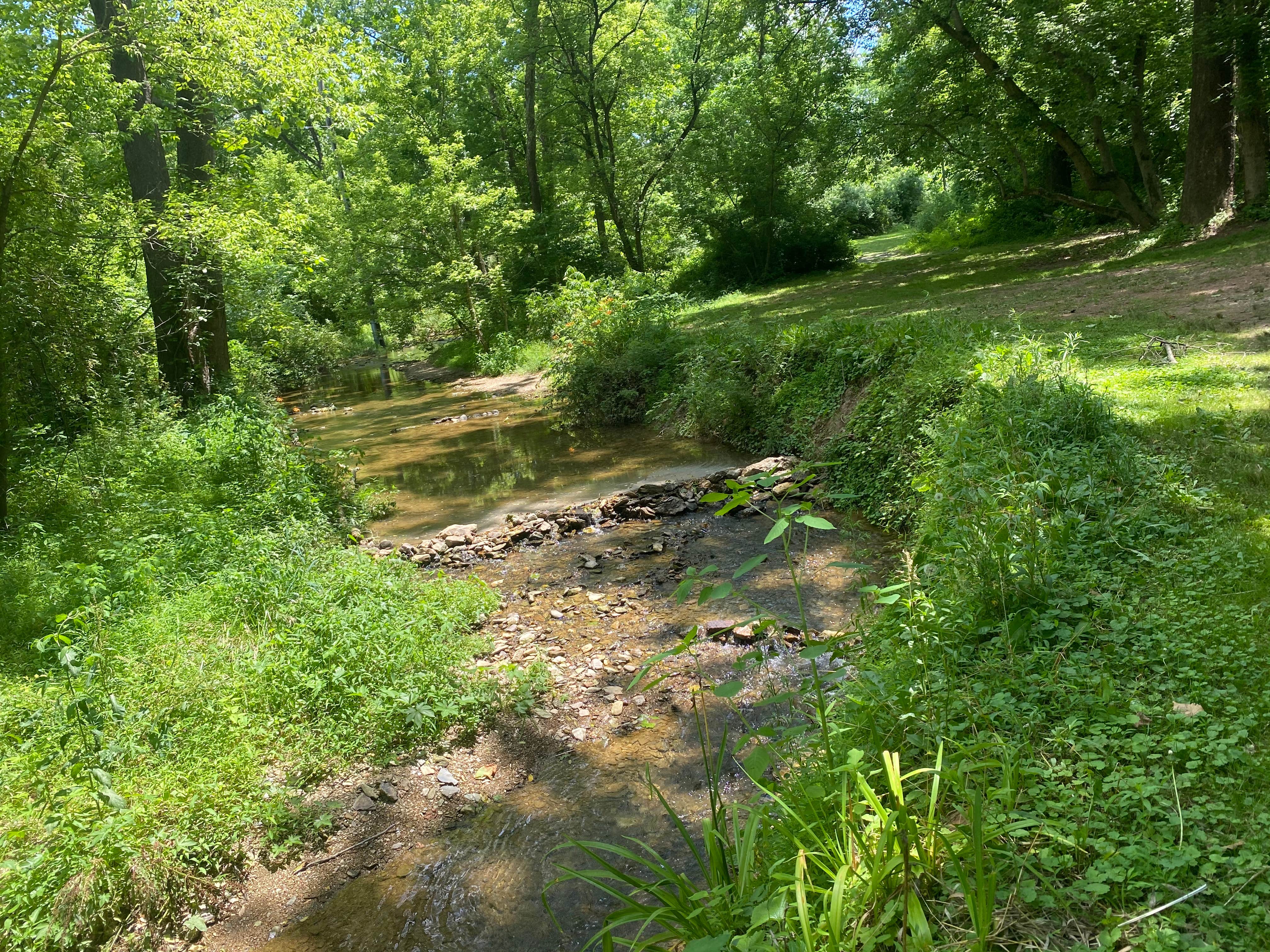 Camper-submitted photo at Indian Rock Campgrounds near Jacobus, PA