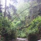 Review photo of Gold Bluffs Beach Campground — Prairie Creek Redwoods State Park by PATRICK S., July 2, 2016