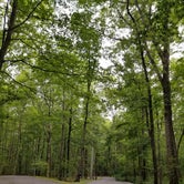 Review photo of Mahlon Dickerson Reservation by antruze .., June 30, 2020