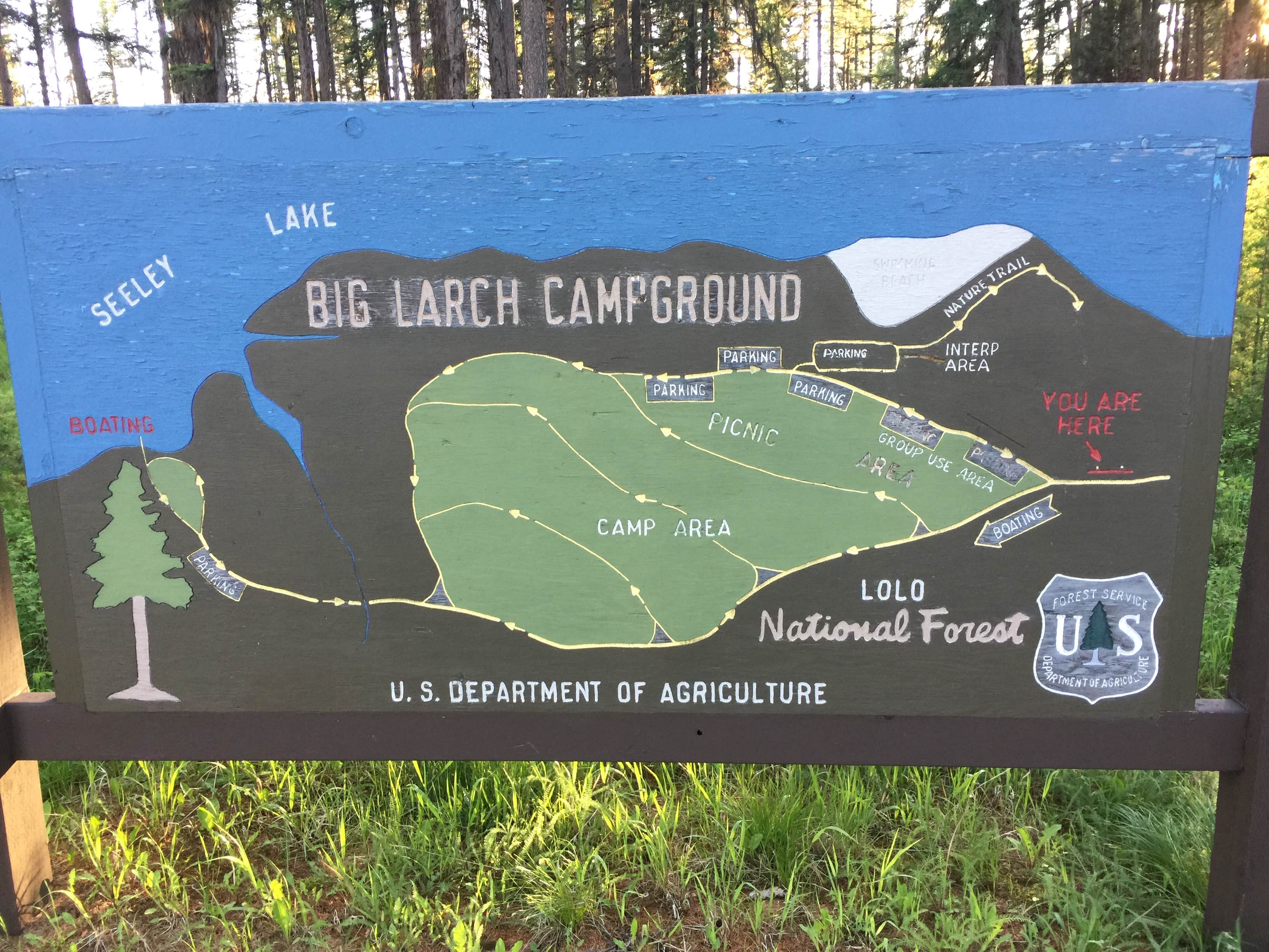 Camper submitted image from Big Larch Campground - 5