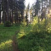 Review photo of Big Larch Campground by Bjorn S., June 30, 2020