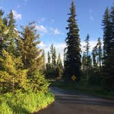 Review photo of Big Larch Campground by Bjorn S., June 30, 2020