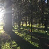 Review photo of Big Larch Campground by Bjorn S., June 30, 2020