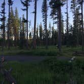 Review photo of Big Larch Campground by Bjorn S., June 30, 2020