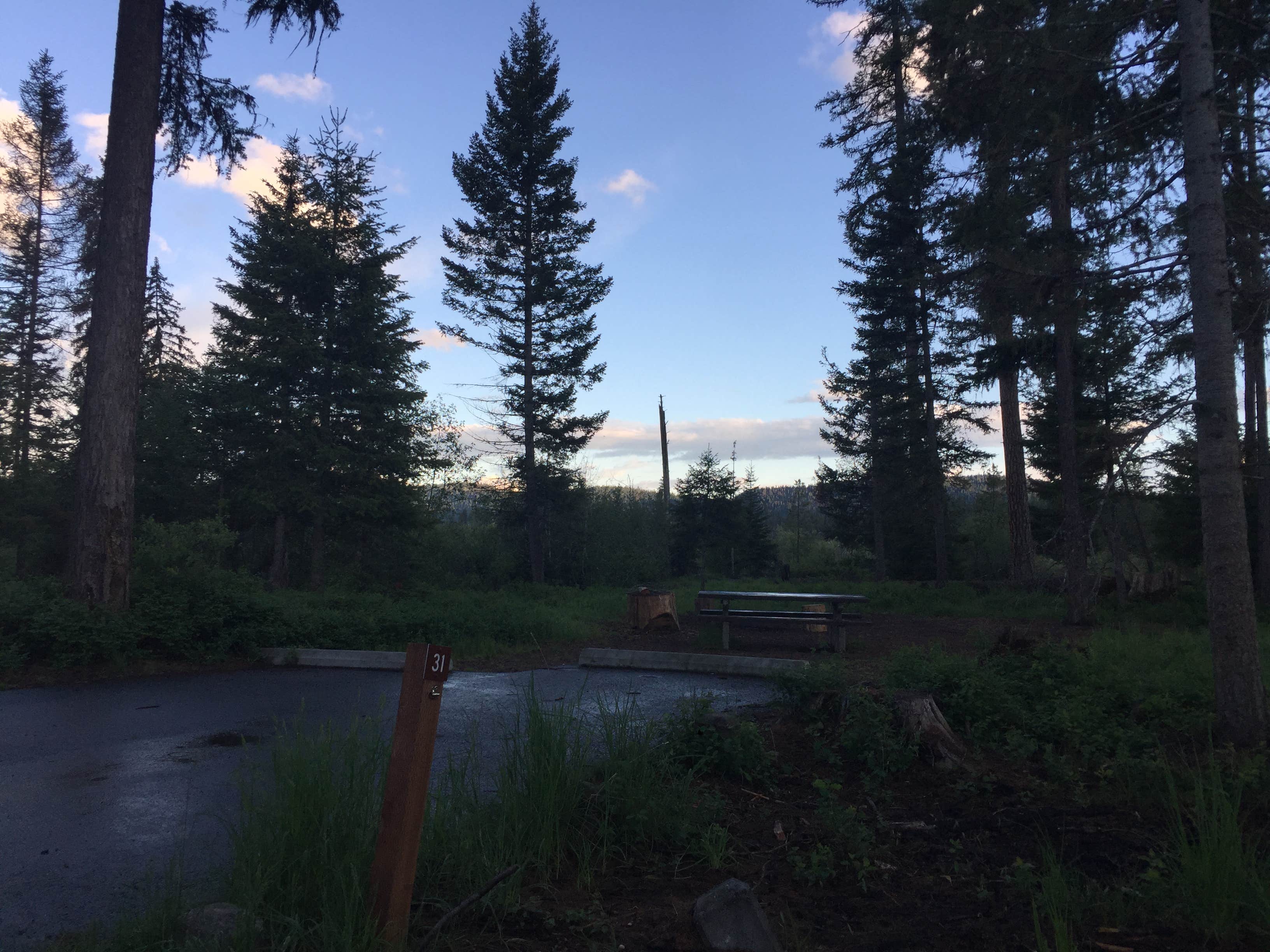 Escape To Big Larch: Montana’s Hidden Gem