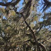 Review photo of Jekyll Island Campground by Stephanie J., June 30, 2020