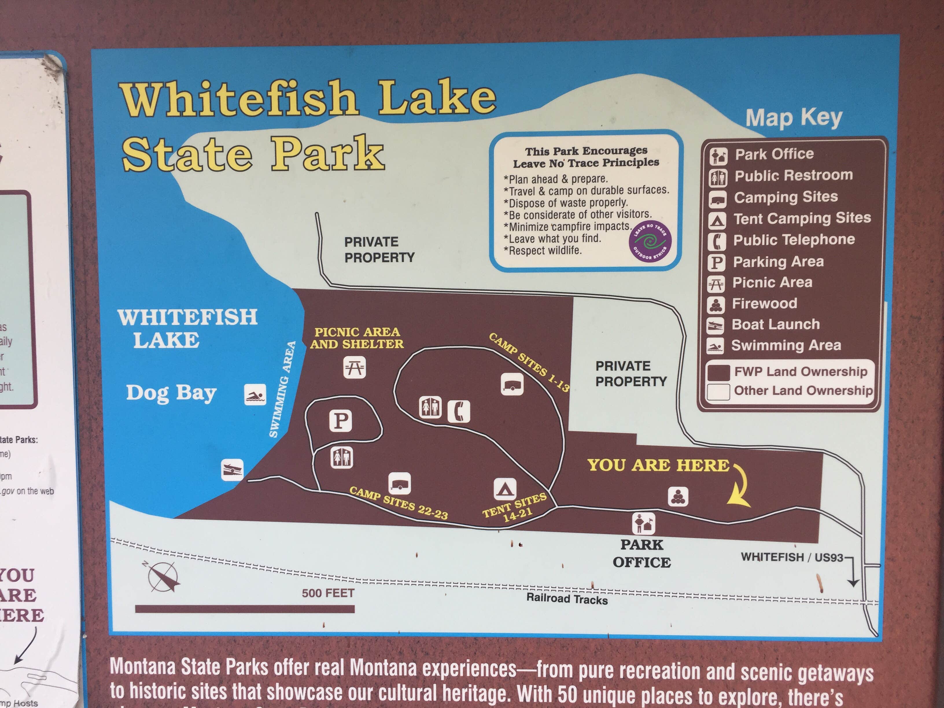 Camper submitted image from Whitefish Lake State Park Campground - 4