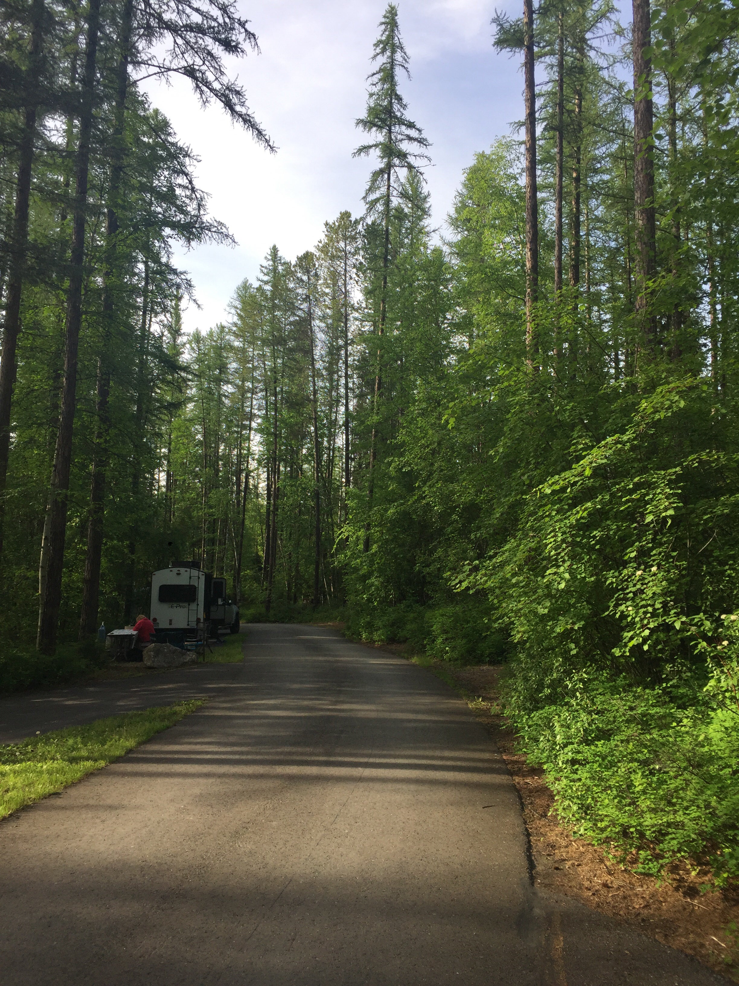 Camper submitted image from Whitefish Lake State Park Campground - 3