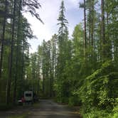 Review photo of Whitefish Lake State Park Campground by Bjorn S., June 30, 2020