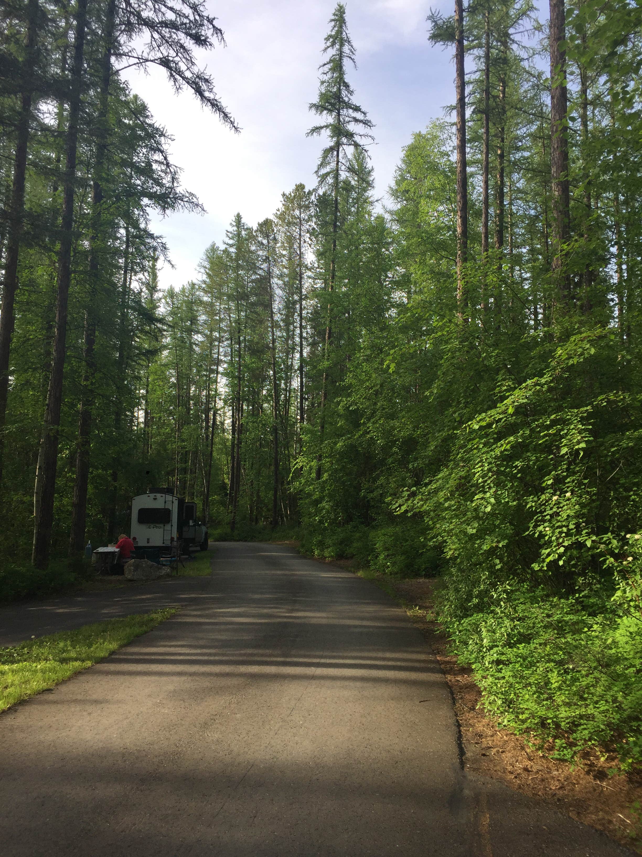 Camper submitted image from Whitefish Lake State Park Campground - 3