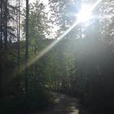 Review photo of Whitefish Lake State Park Campground by Bjorn S., June 30, 2020