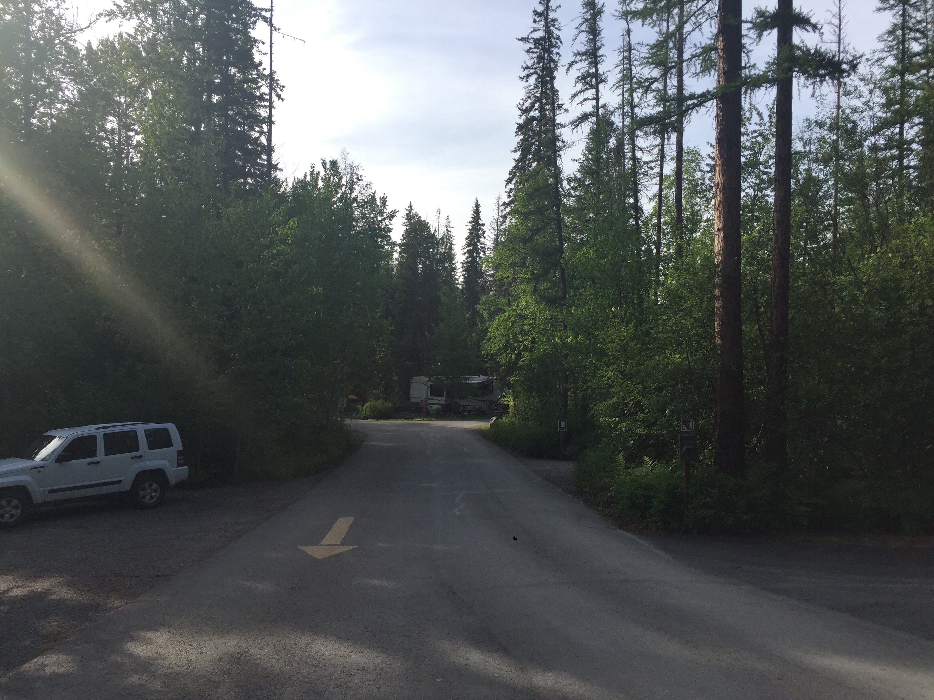 Camper submitted image from Whitefish Lake State Park - 2
