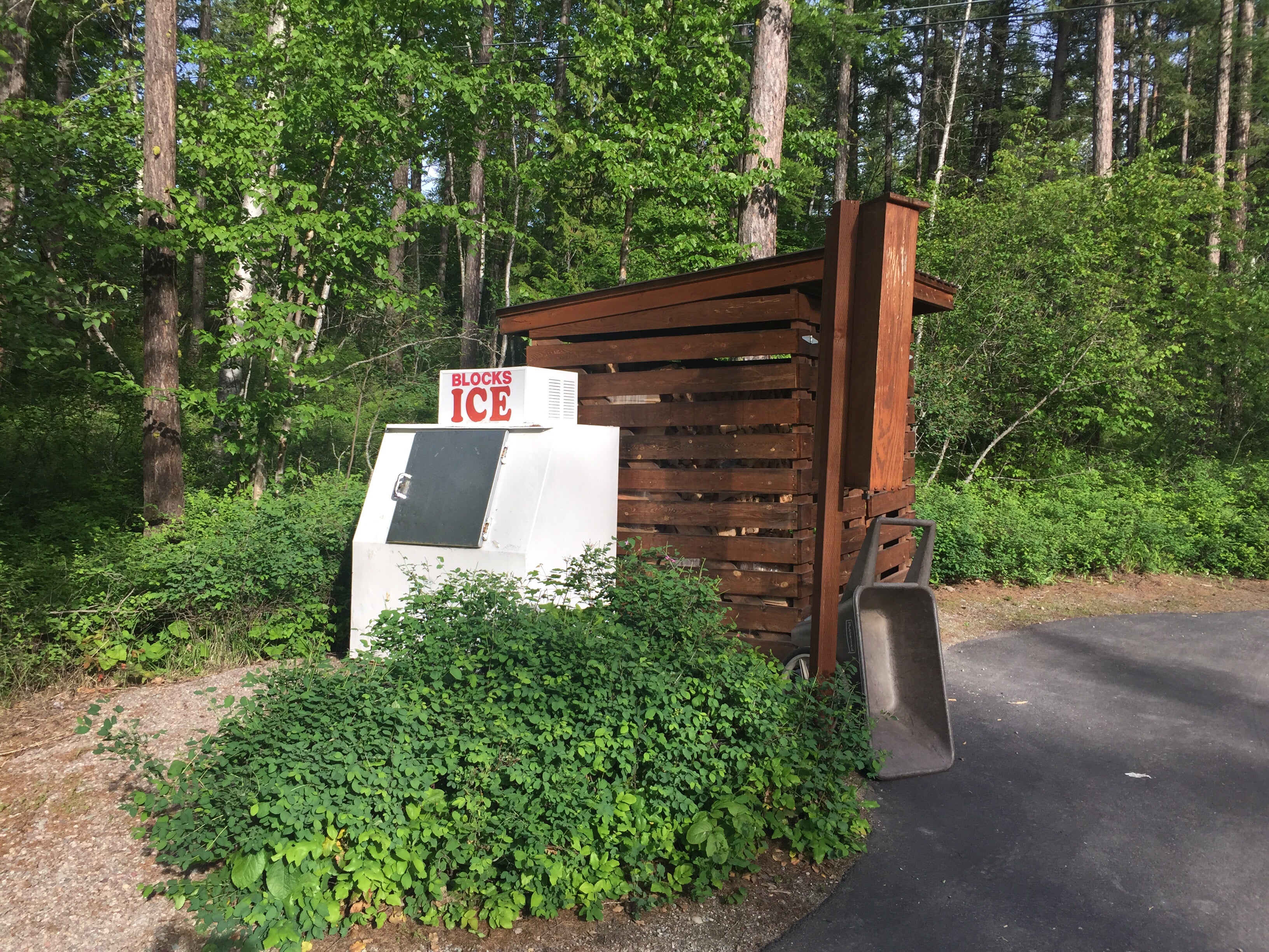Camper submitted image from Whitefish Lake State Park Campground - 1