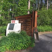 Review photo of Whitefish Lake State Park Campground by Bjorn S., June 30, 2020