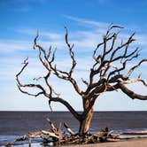 Review photo of Jekyll Island Campground by Stephanie J., June 30, 2020