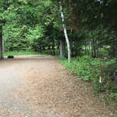 Review photo of Cascade River State Park Campground by Krista T., July 1, 2020