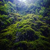 Review photo of Gold Bluffs Beach Campground — Prairie Creek Redwoods State Park by PATRICK S., July 2, 2016
