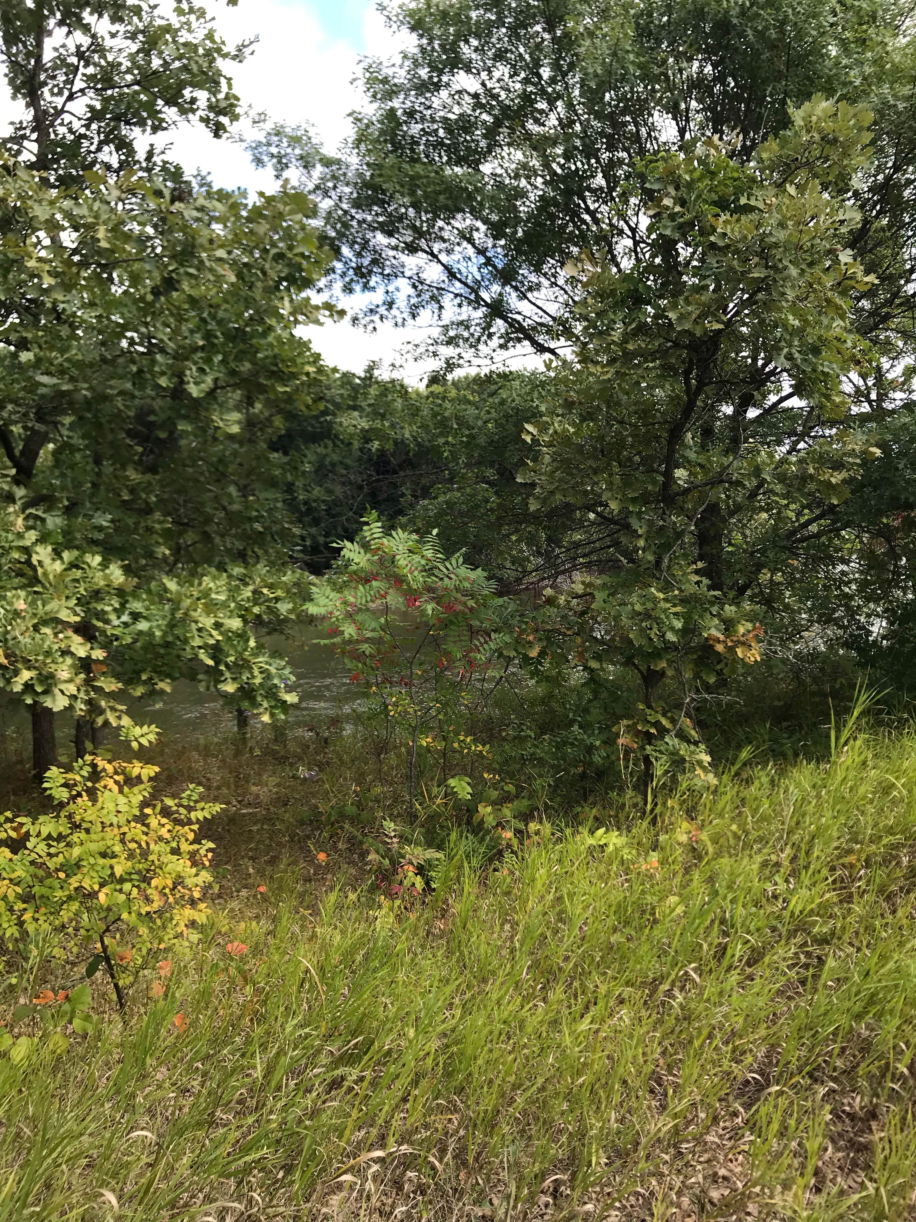 Camper-submitted photo at Crow Hassan Park Reserve near Savage, MN
