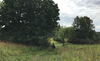 Krista T.'s photo of camping with a horse at Crow Hassan Park Reserve near New Brighton, MN