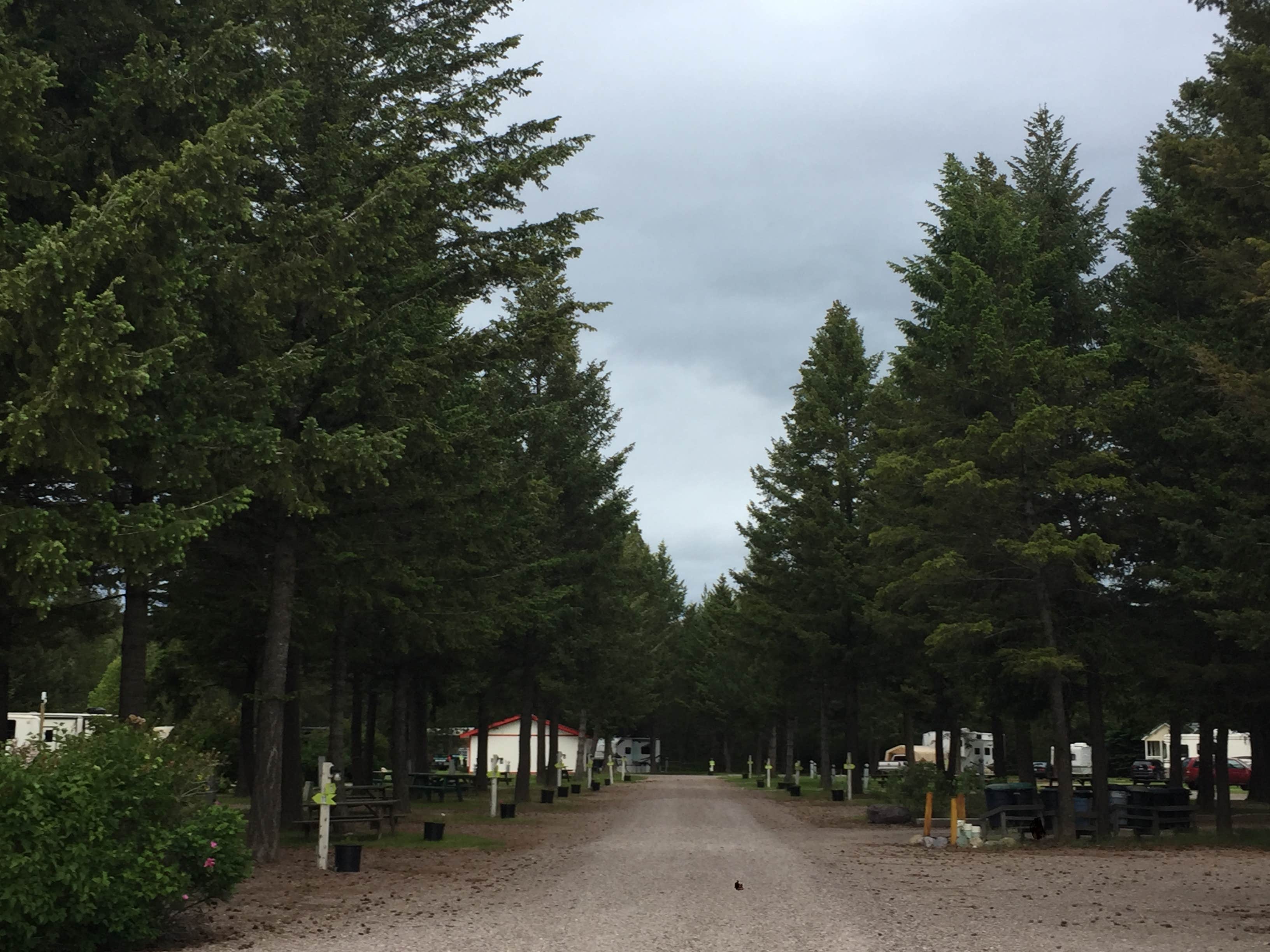 Camper-submitted photo at Glacier Peaks RV Park near Olney, MT