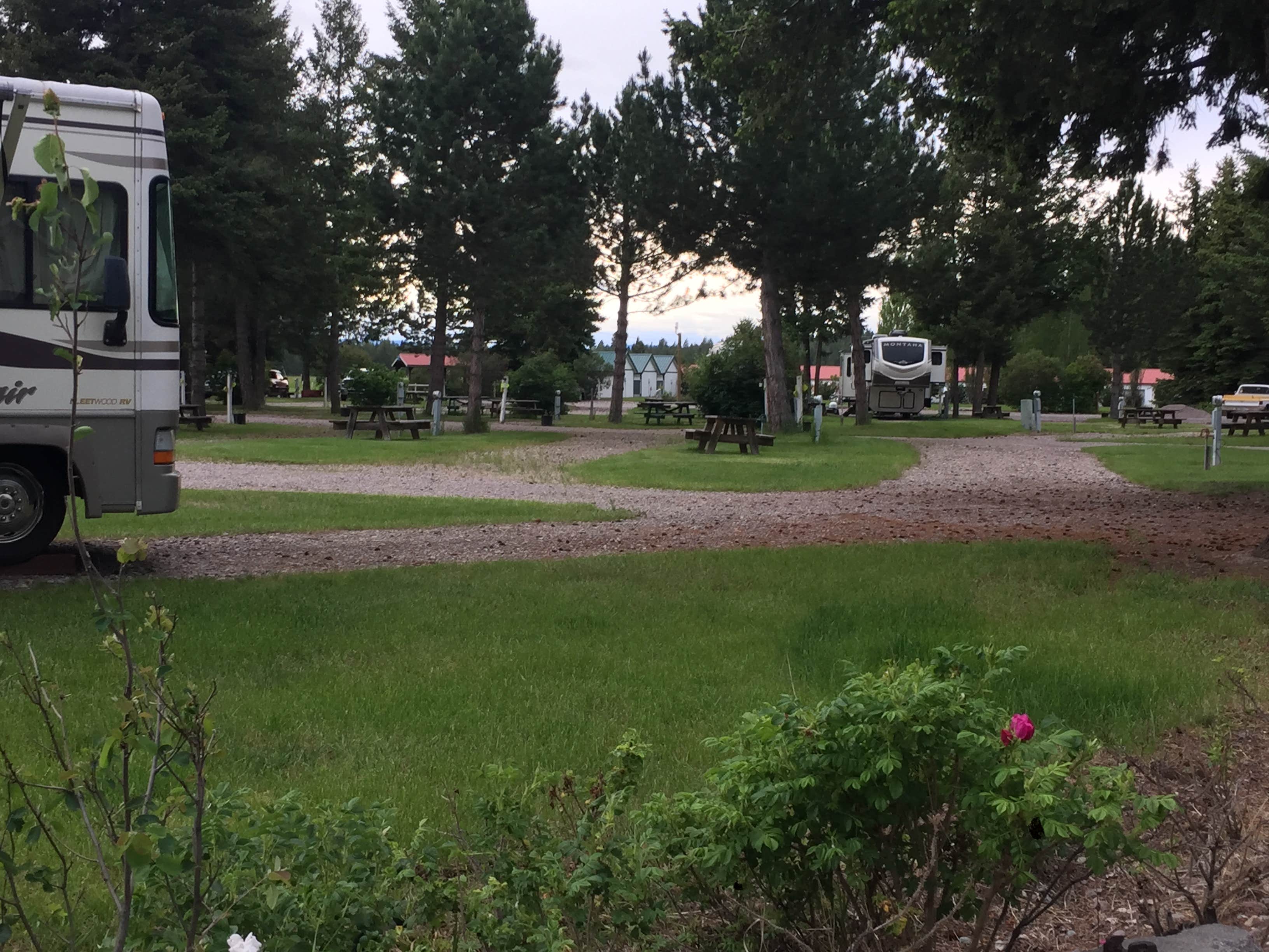 Camper-submitted photo at Glacier Peaks RV Park near Olney, MT
