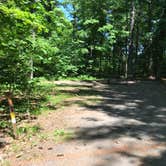 Review photo of William O'Brien State Park Campground by Krista T., July 1, 2020