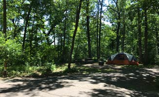 Krista T.'s photo at William O'Brien State Park Campground near Fridley, MN