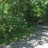 Review photo of William O'Brien State Park Campground by Krista T., July 1, 2020