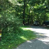 Review photo of William O'Brien State Park Campground by Krista T., July 1, 2020