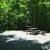 Review photo of William O'Brien State Park Campground by Krista T., July 1, 2020